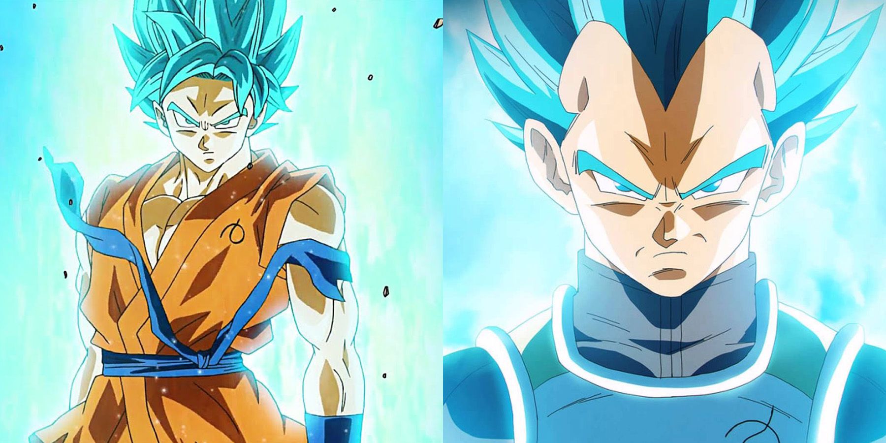 vegeta from goku