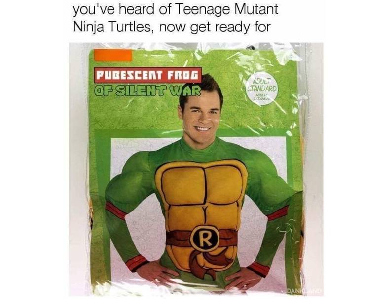 Hilarious Teenage Mutant Ninja Turtles Memes Cbr