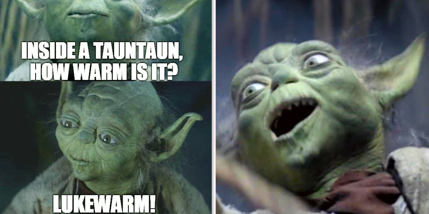 Hilarious Yoda  Memes  CBR