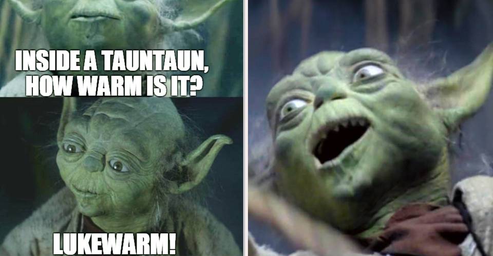 Hilarious Yoda Memes Cbr