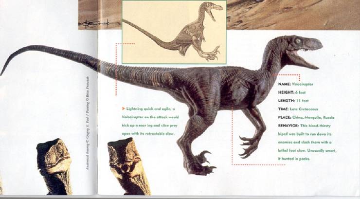 Weird But True Facts About Velociraptors Cbr