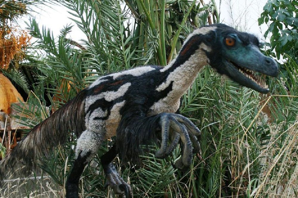 Weird But True Facts About Velociraptors Cbr