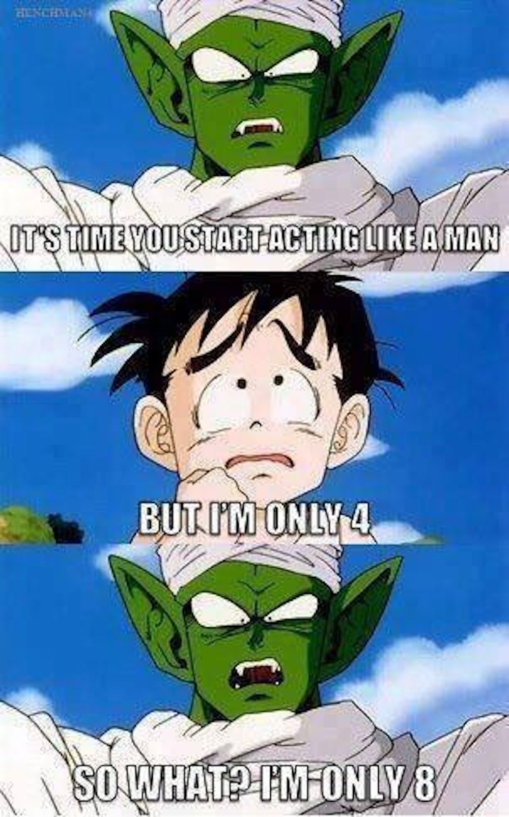 Dragon Ball 15 Hilariously Dank Piccolo Memes