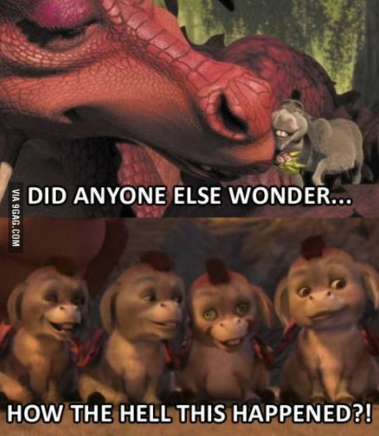 DreamWorks Memes That Is Going To Make You Question Everything! 11 Dreamworks Memes 05.jpg?q=50&fit=crop&w=737&h=848&dpr=1