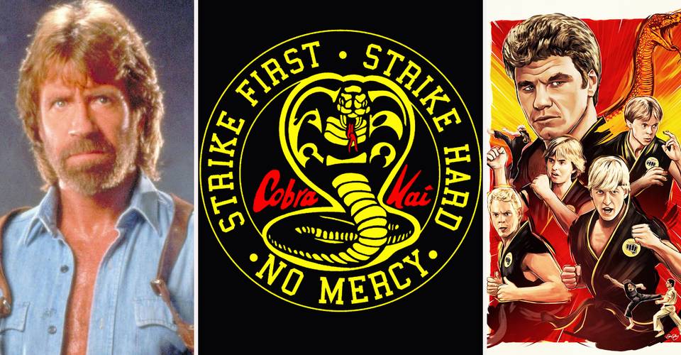The Karate Kid 15 Things You Didn T Know About Cobra Kai Cbr