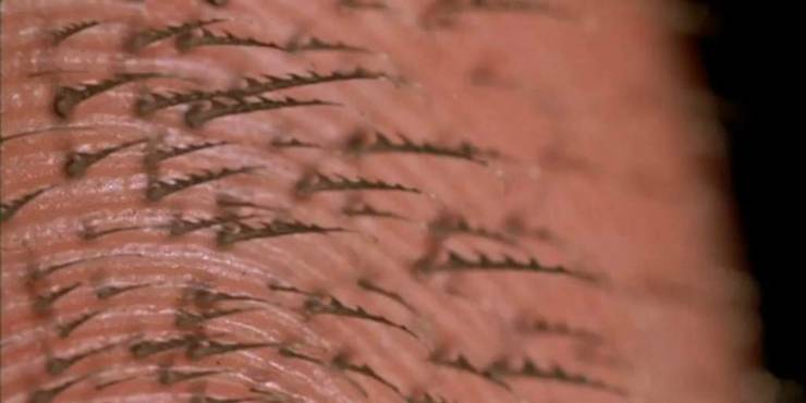 Sticky Fingers: 20 Weird Facts About Spider-Man's... Hands? | CBR