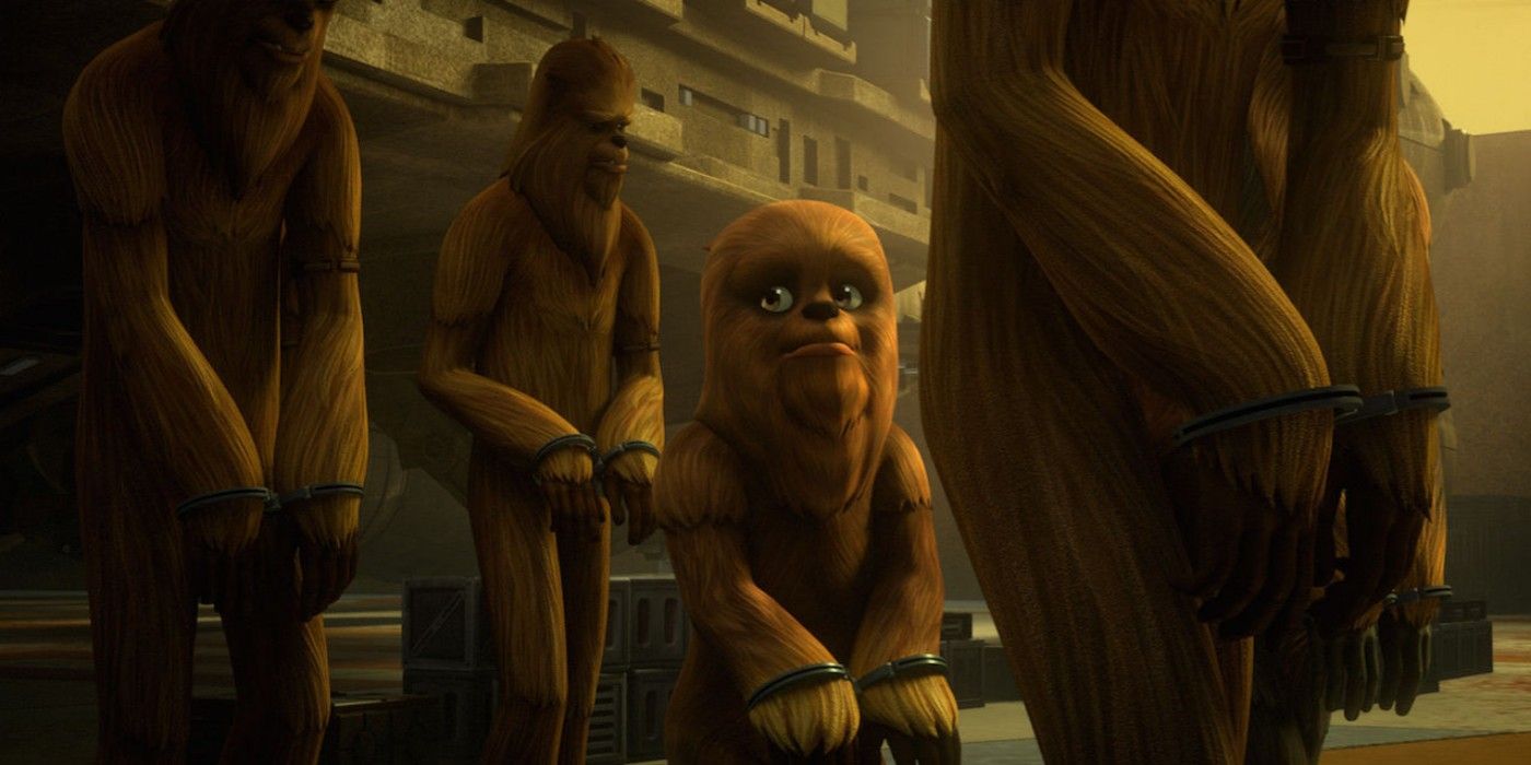 Os Wookiees de Star Wars são uma das espécies mais trágicas que existem 2