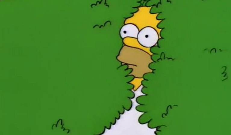 Simpsons Uses Disappearing Home Gif Cbr Simpsons Uses Disappearing Home Gif Cbr