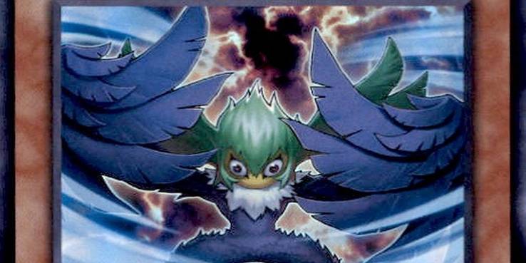 Yu-Gi-Oh: 10 Most Powerful Blackwing Cards