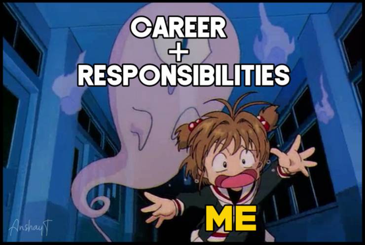 Fate Stay Memes Animememes