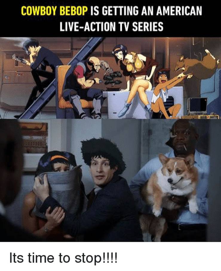 10 Hilarious Cowboy Bebop Memes Only True Fans Will Understand 10 Hilarious Cowboy Bebop Memes Only True Fans Will Understand