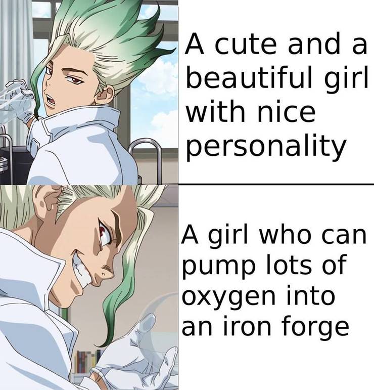 Dr Stone 10 Hilarious Memes Only True Fans Will Understand Dr Stone 10 Hilarious Memes Only True Fans Will Understand