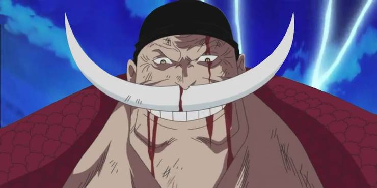One Piece 10 Things You Didn T Know About Whitebeard Edward Newgate One Piece 10 Things You Didn T Know About Whitebeard Edward Newgate