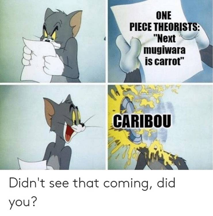 One Piece 10 Best Carrot Memes Cbr
