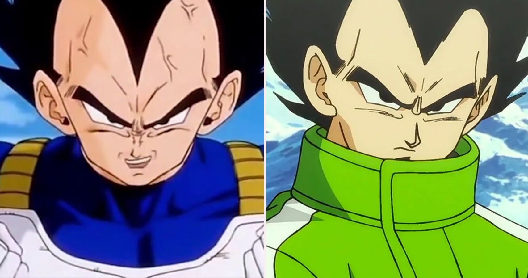 vegeta cbr