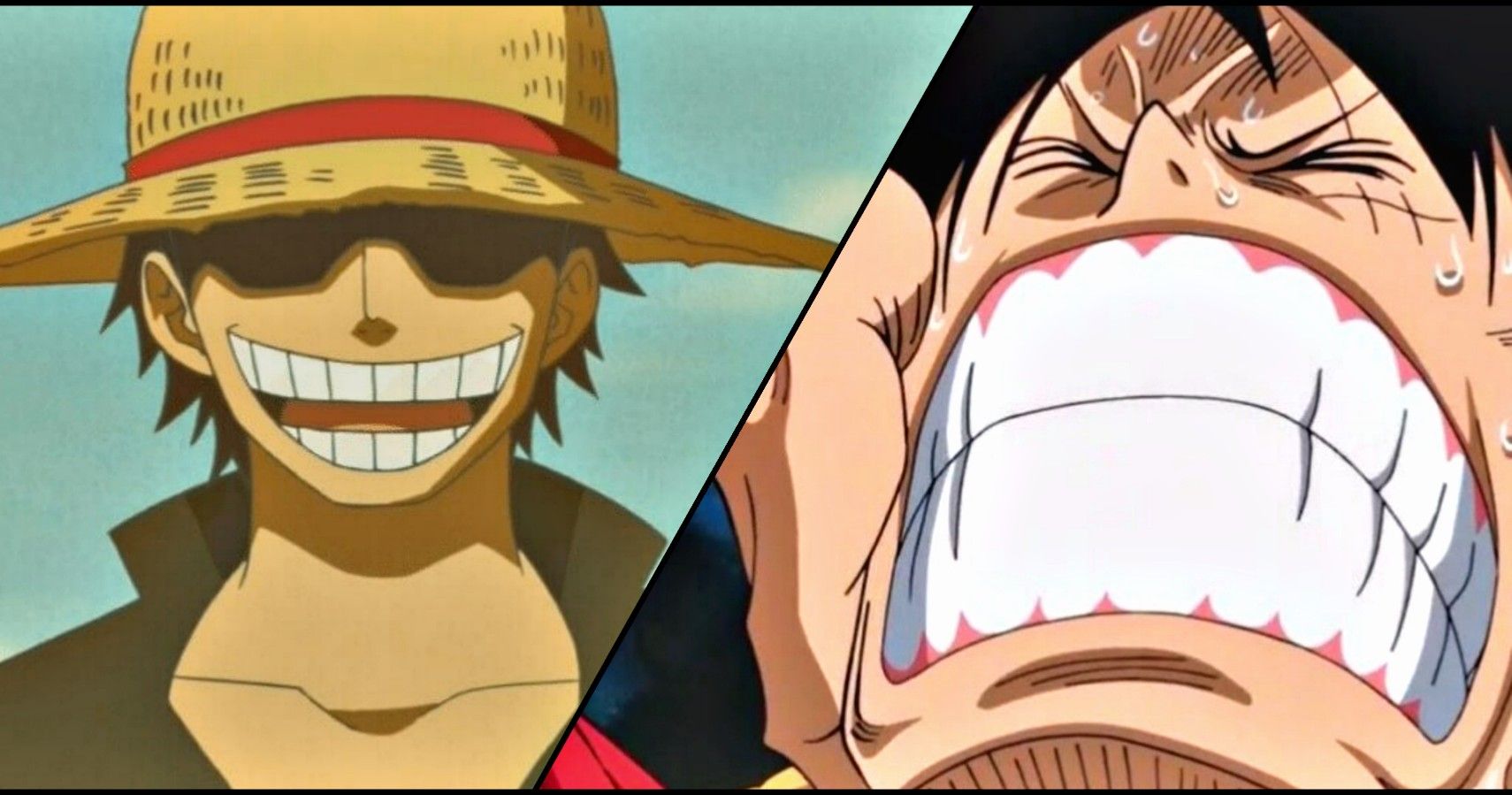 one-piece-10-facts-trivia-you-didn-t-know-about-the-voice-of-all-things