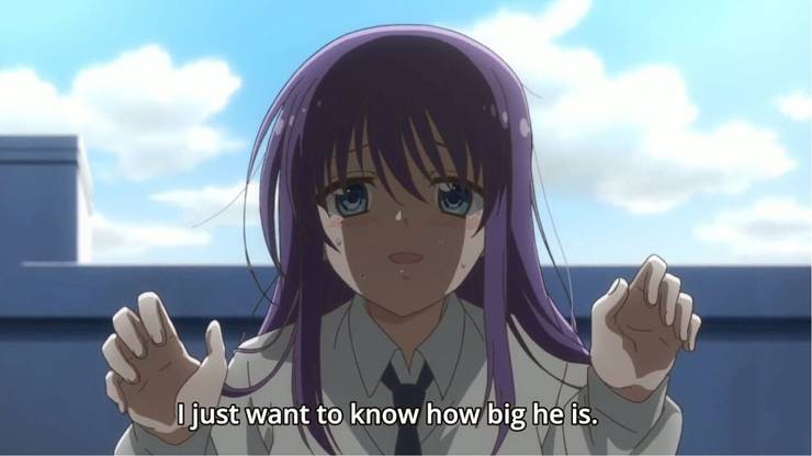 The 10 Worst Shoujo Anime Of The Decade According To Imdb Cbr