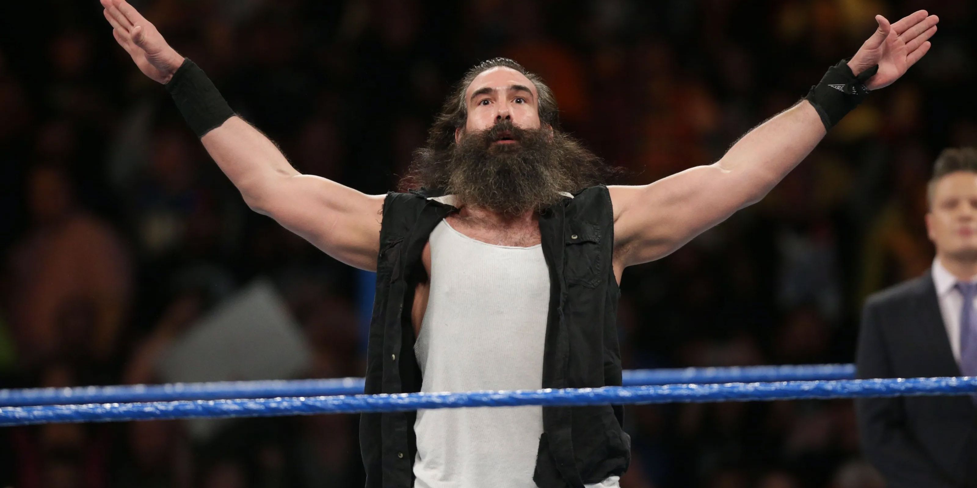 brodie lee luke harper