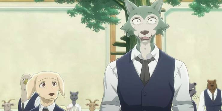 Get Beastars Anime Character Guide Cbr HD Get Wallpaper Beastars Anime Character Guide Cbr Free