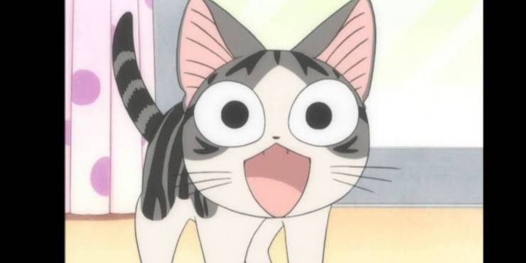 10 Most Memorable Anime Cats Cbr