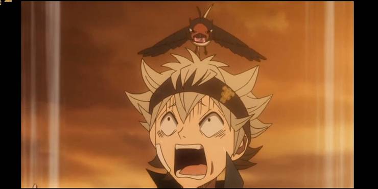 Black Clover 10 Fun Facts You Didn T Know About Nero Cbr Black Clover 10 Fun Facts You Didn T Know About Nero Cbr