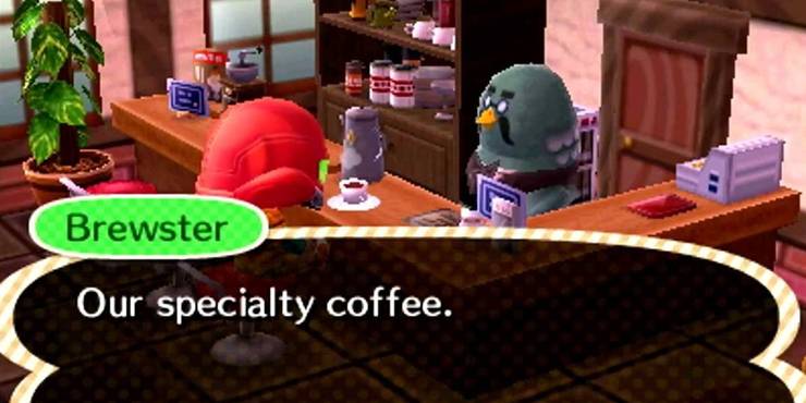 Animal Crossing Fans Want Brewster To Return Asap Cbr Animal Crossing Fans Want Brewster To Return Asap Cbr