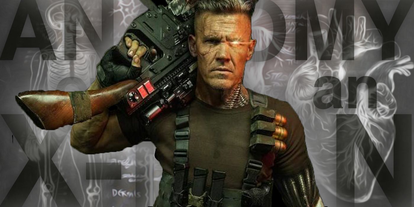 X Men Anatomy The 5 Weirdest Things About Cable S Body Cbr