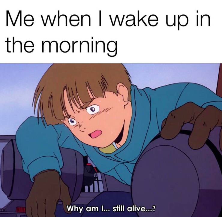 Mobile Suit Gundam 10 Hilarious Memes That Only Real Fans Will Appreciate Mobile Suit Gundam 10 Hilarious Memes That Only Real Fans Will Appreciate