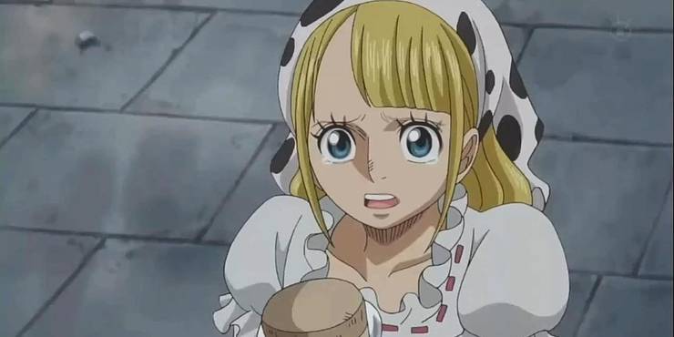 One Piece 5 Things About Real Life Piracy We Hope The Anime Shows In The Future 5 It Can Leave Out One Piece 5 Things About Real Life Piracy We Hope The Anime Shows In The Future 5 It Can Leave Out