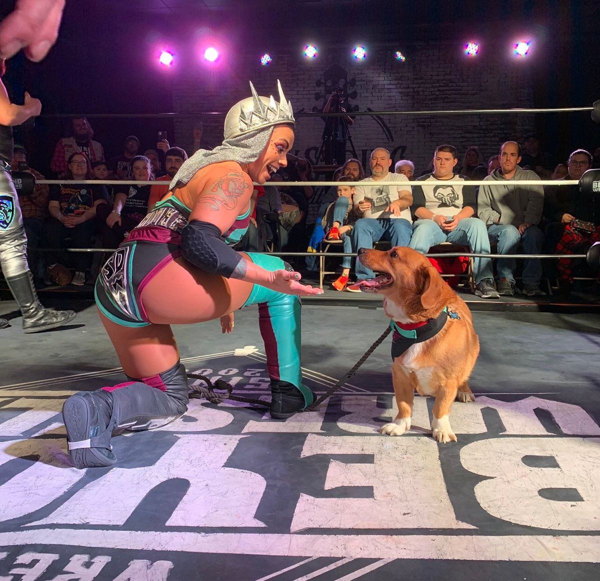 Wrestler solo darling Solo Darling: