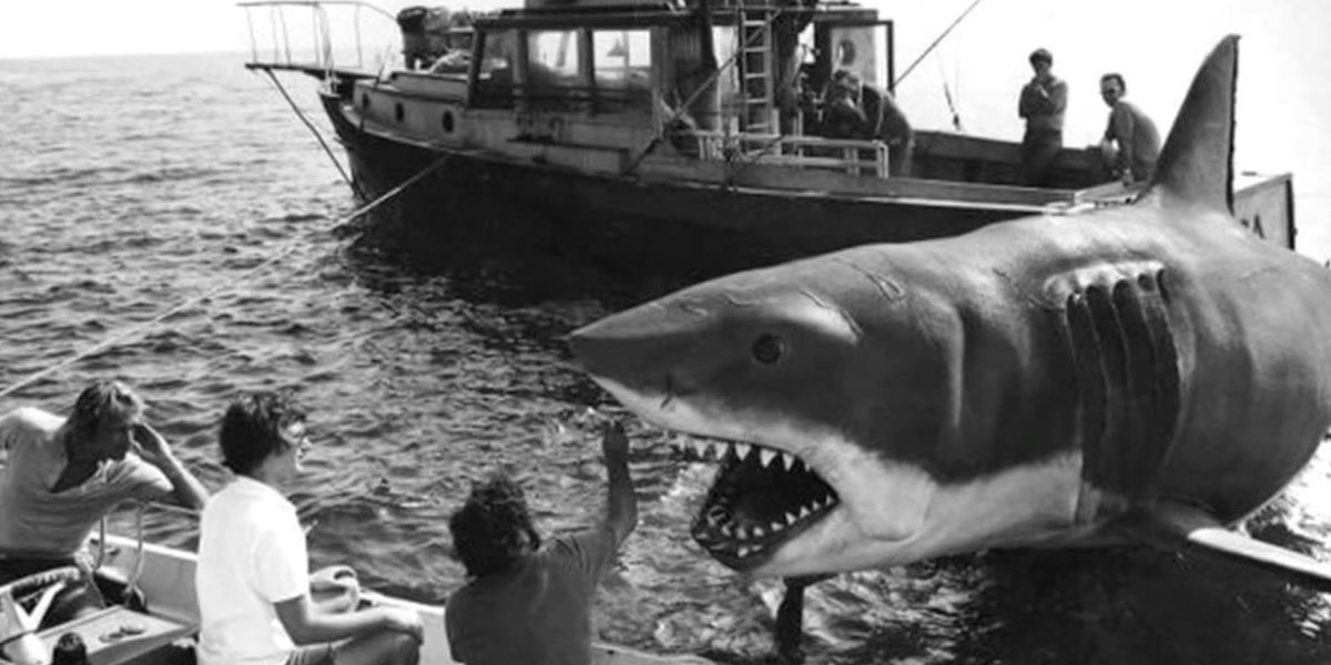 Jaws The 6 Wildest Stories From The Infamous Production Cbr