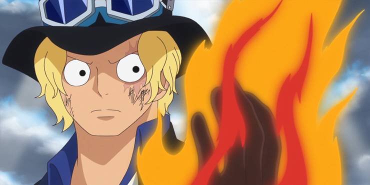 One Piece 10 Strongest Characters In The Dressrosa Arc Ranked One Piece 10 Strongest Characters In The Dressrosa Arc Ranked