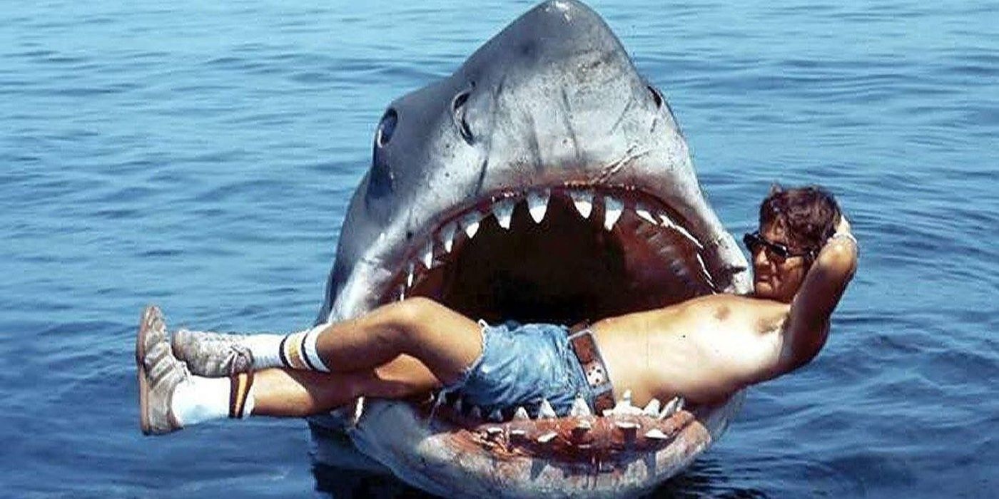 Jaws The 6 Wildest Stories From The Infamous Production Cbr