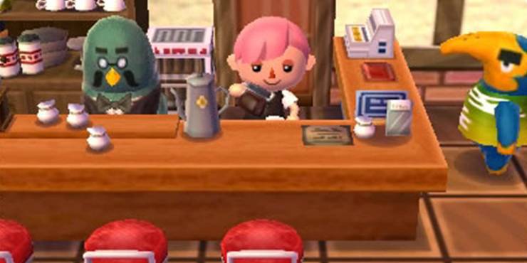 Animal Crossing Where Is Brewster Cbr Animal Crossing Where Is Brewster Cbr