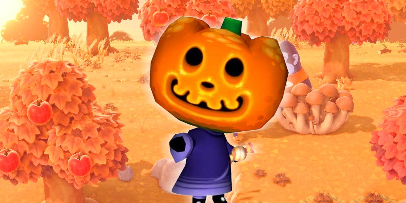 10 Weirdest items You Can Own in Animal Crossing Games 
