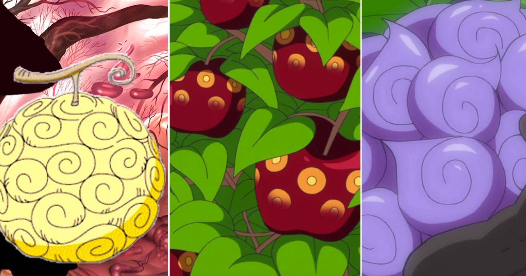 How many devil fruit powers are there の ギ ャ ラ リ.