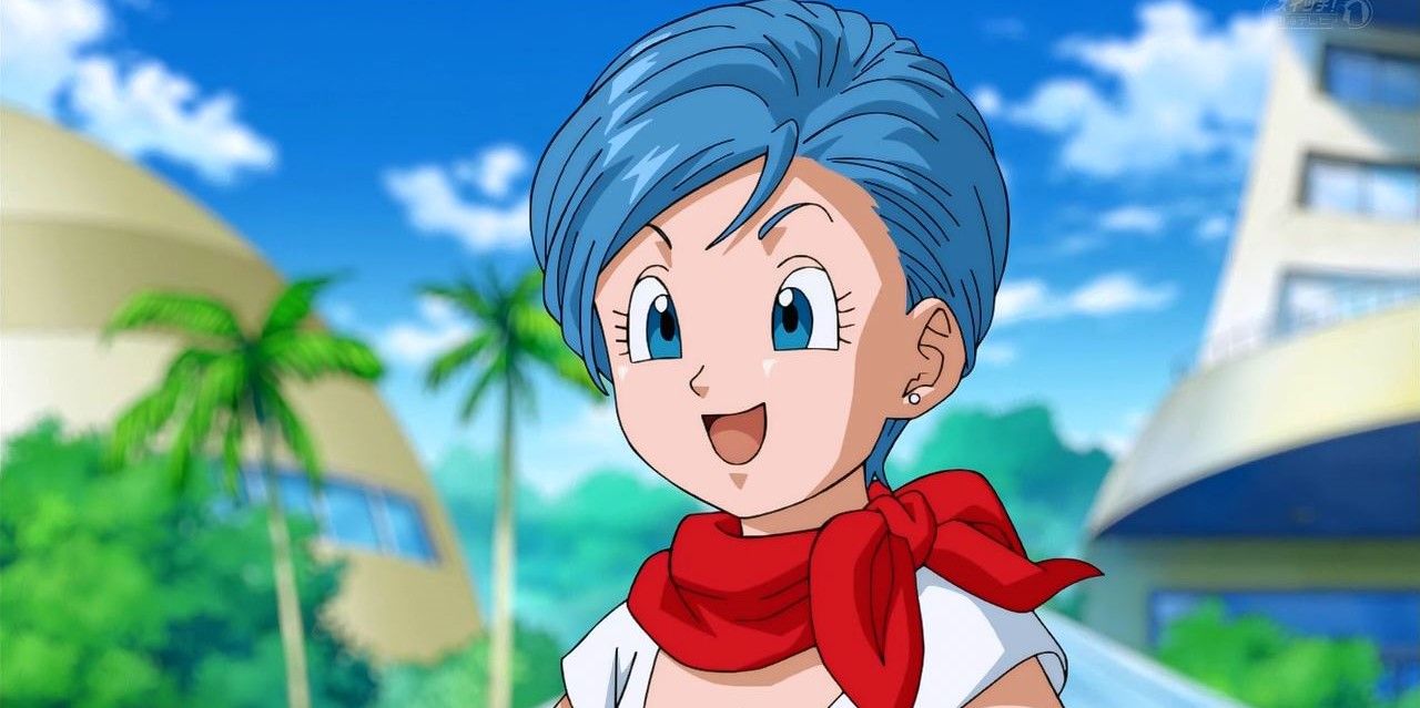 Dragon Ball 10 Things You Need To Know About Bulma