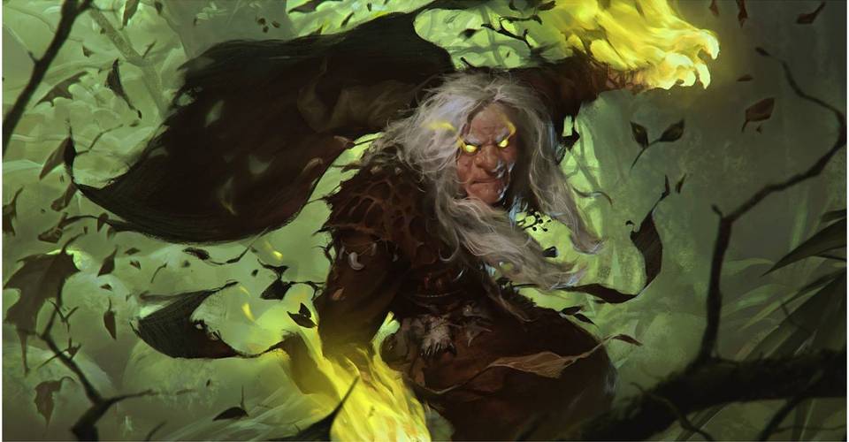 Featured image of post Rpgbot Druid Wild Shape