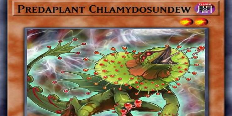 Yu-Gi-Oh!- Predaplant Chlamydosundew