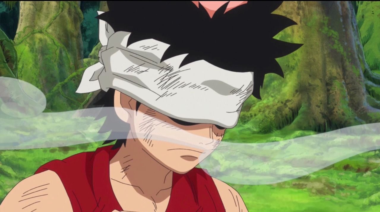 One Piece 10 Questions About Luffy We Still Want Answered Cbr