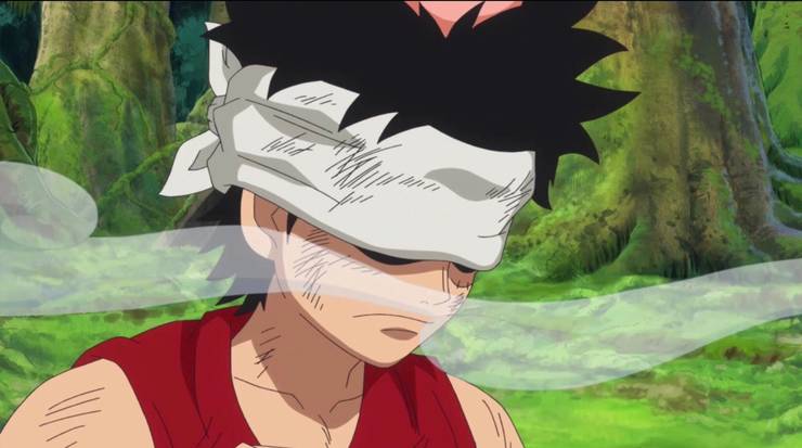 One Piece 10 Questions About Luffy We Still Want Answered Cbr One Piece 10 Questions About Luffy We Still Want Answered Cbr