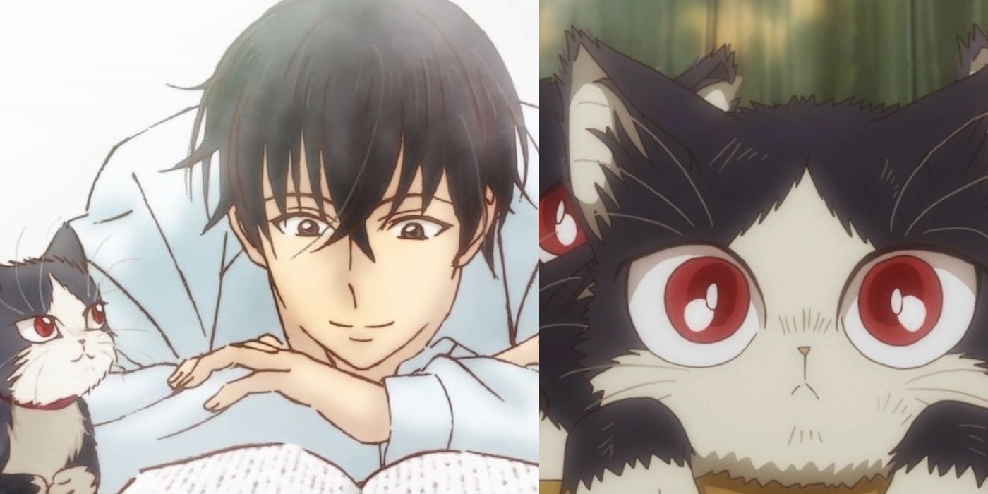 My Roommate Is A Cat: 10 Things You Need To Know About Haru | CBR