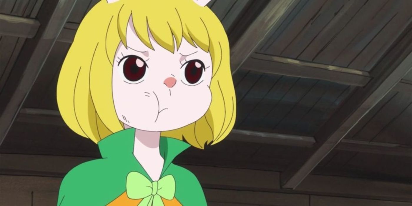 Next Straw Hat 