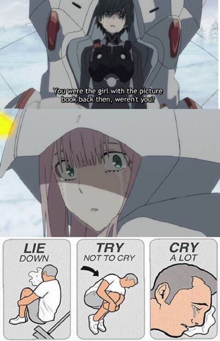 10 Darling In The Franxx Memes Only True Fans Understand Cbr