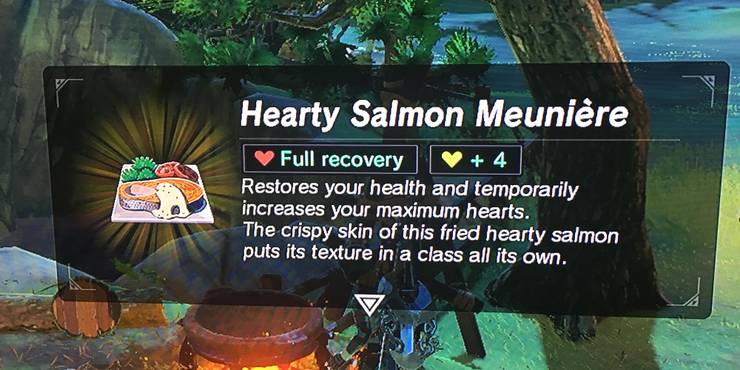 Featured image of post Botw Salmon Manure Recipe It also temporarily grants additional yellow heart containers depending on the amount ingredients
