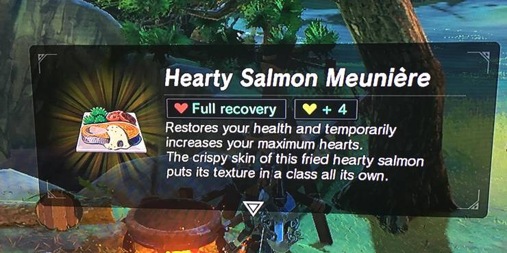 Featured image of post Salmon Manure Recipe Zelda Welcome to our zelda breath of the wild food recipe list here you can view a variety of cooking recipes in some food recipes require an open flame campfire to cook certain ingredients but for the most part a majority of your zelda breath of the wild crafting recipes will be cooked in a metal bowl