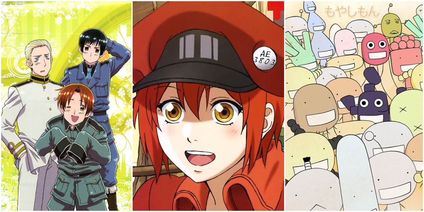 5 Edutainment Anime You Should Watch (& 5 You Can Skip) | CBR