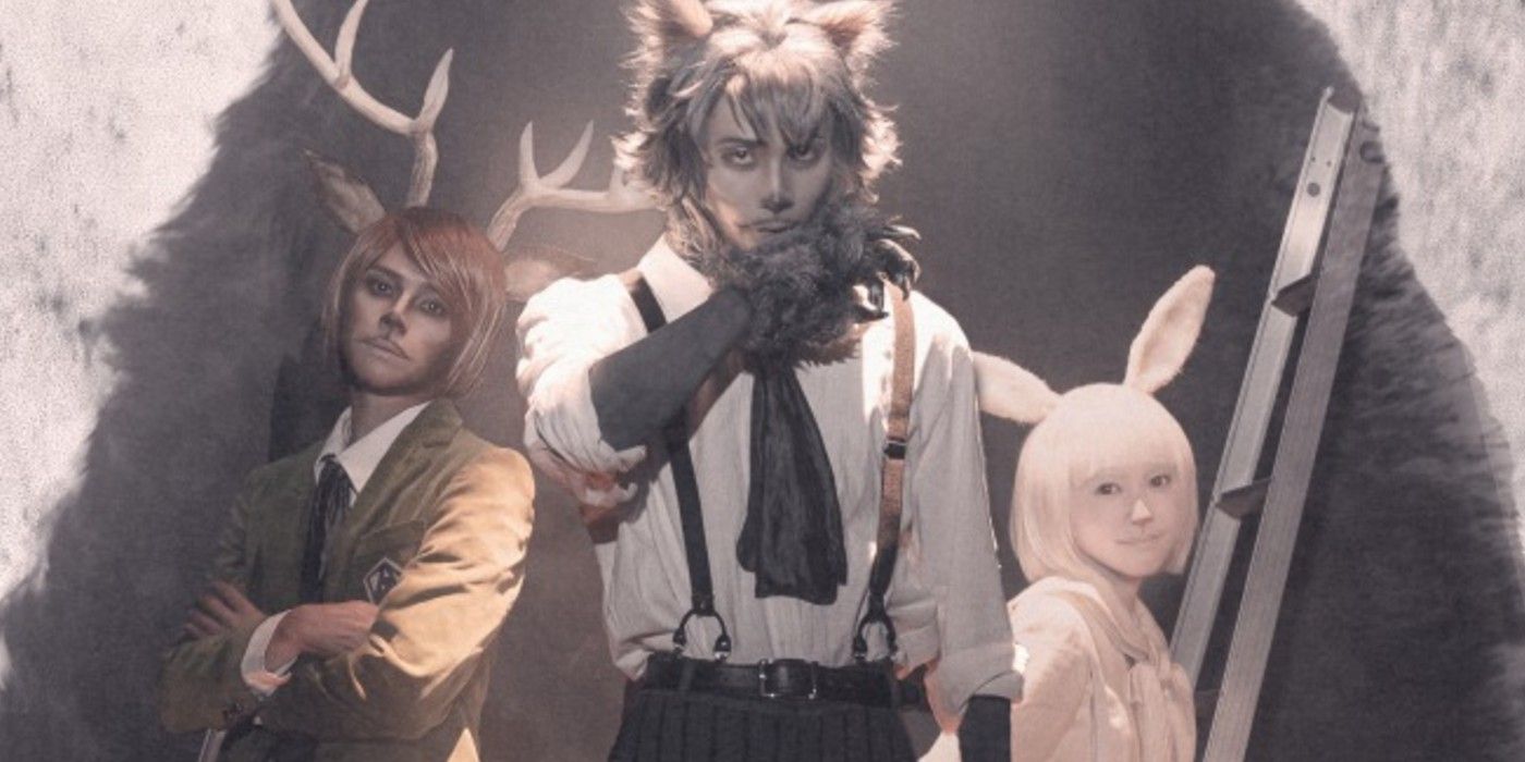 Beastars 10 Things You Need To Know Before Watching The Anime