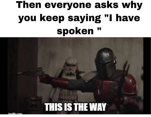 The Mandalorian: 10 Amusing "I Have Spoken" Memes 14 08/10 This is the way we team up