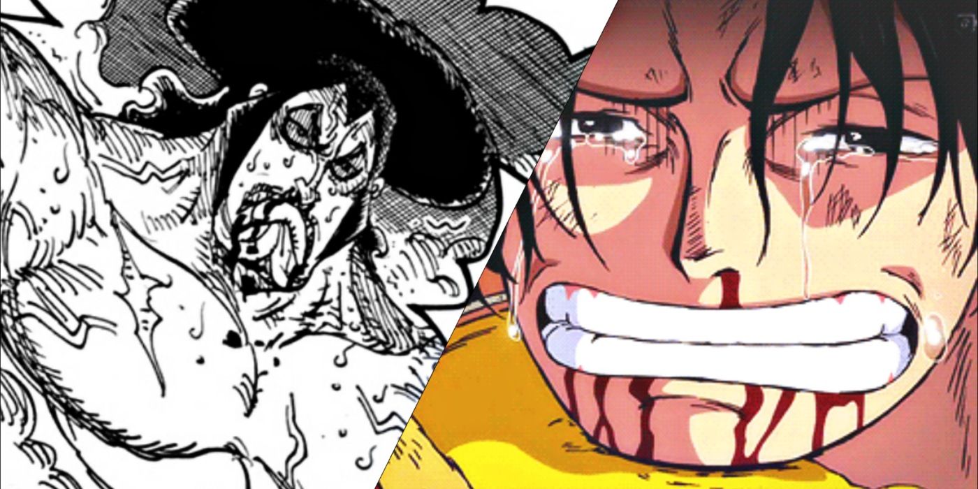 10 Saddest Deaths In One Piece Ranked Cbr